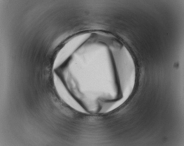 X0000113201163200910081244