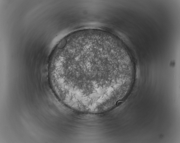 X0000113201164200910081244