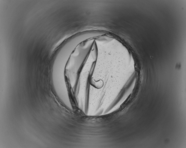 X0000113201165200910081244