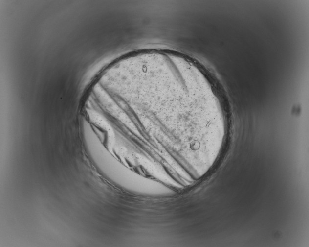 X0000113201167200910081244