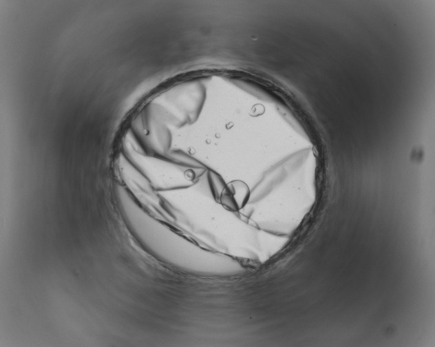 X0000113201168200910081244