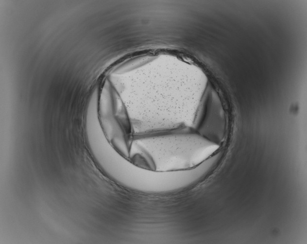 X0000113201169200910081244