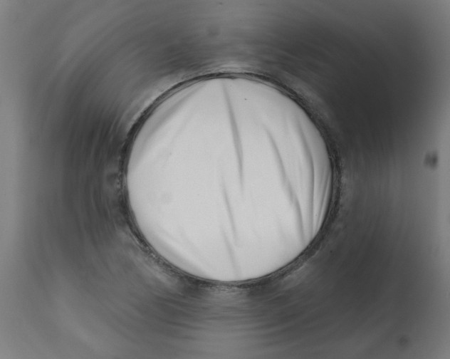 X0000113201170200910081244