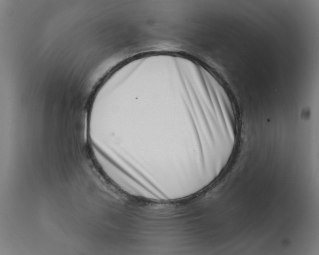 X0000113201171200910081244