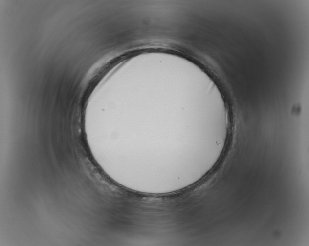 X0000113201172200910081244