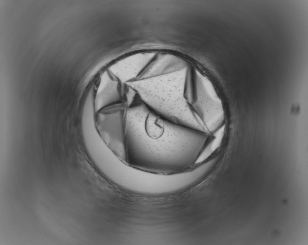 X0000113201173200910081244