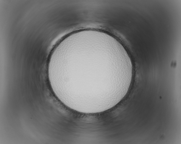 X0000113201174200910081244