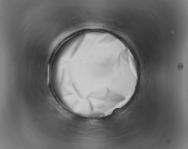 X0000113201175200910081244