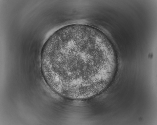X0000113201176200910081244