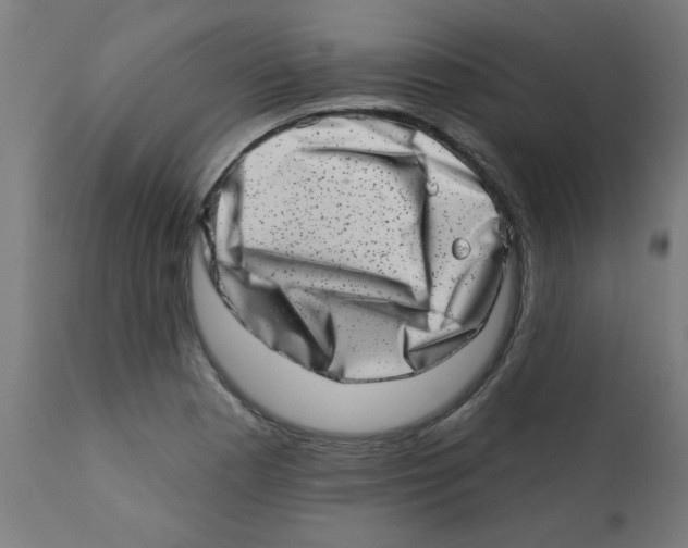 X0000113201177200910081244