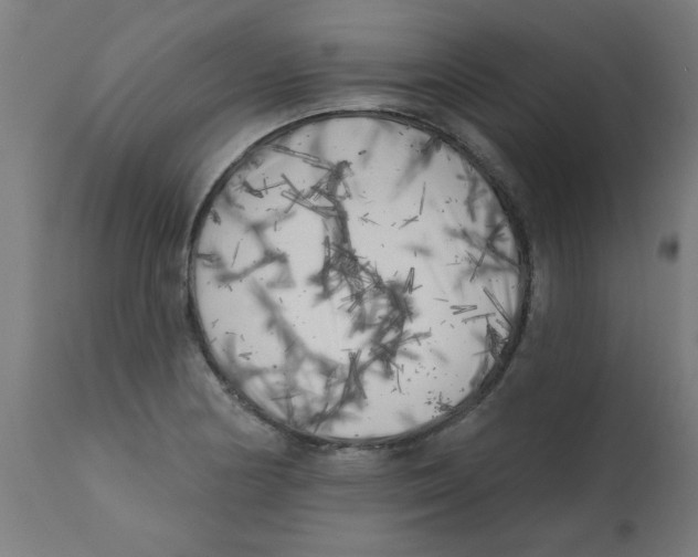 X0000113201178200910081244