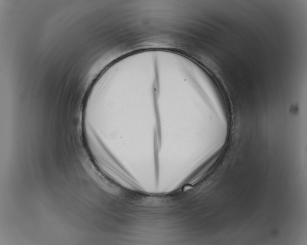 X0000113201179200910081244