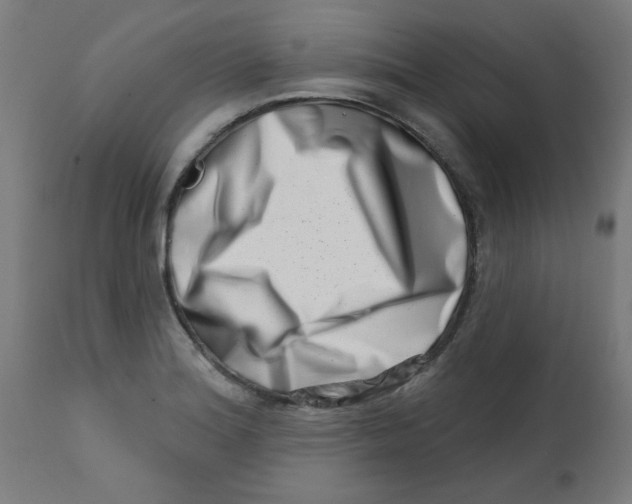 X0000113201180200910081244