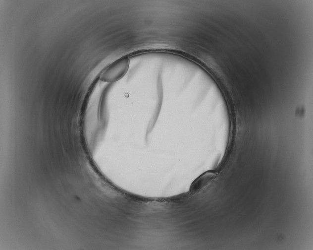 X0000113201181200910081244