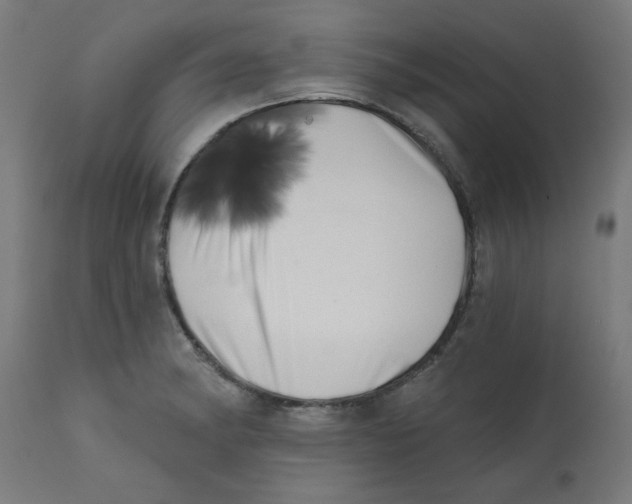 X0000113201182200910081244