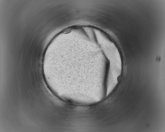 X0000113201183200910081244