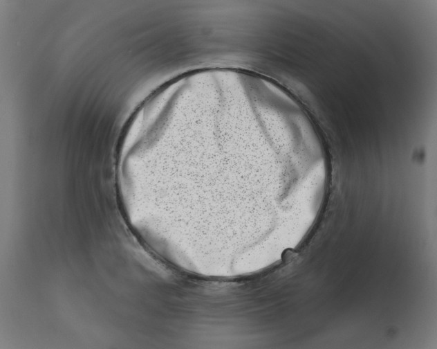 X0000113201184200910081244