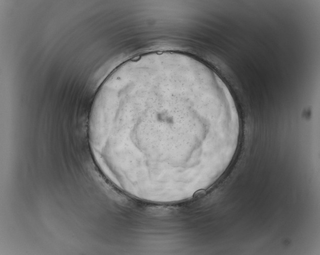 X0000113201185200910081244