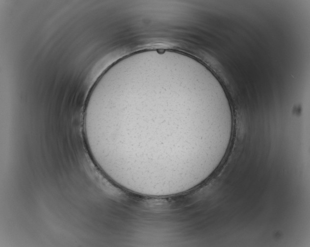 X0000113201186200910081244