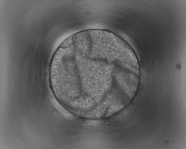 X0000113201187200910081244