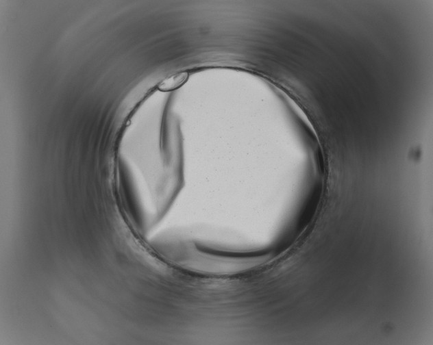 X0000113201188200910081244