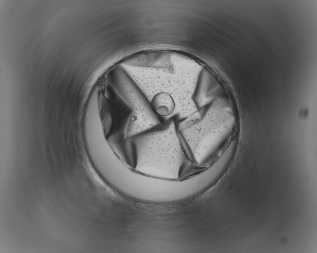 X0000113201189200910081244