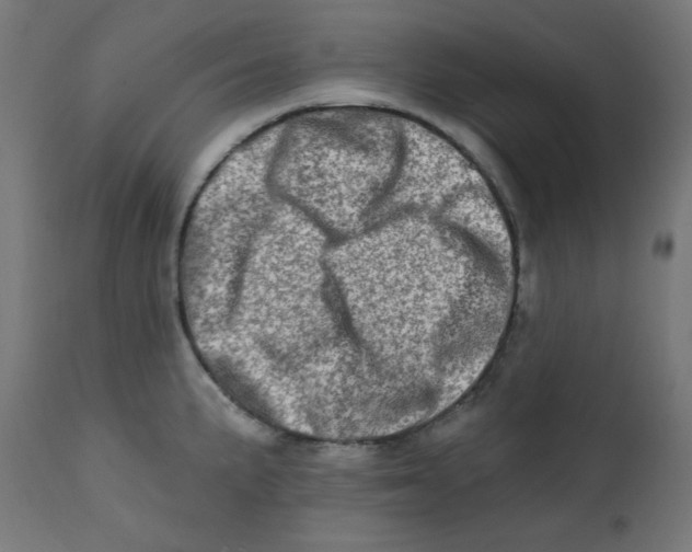 X0000113201191200910081244