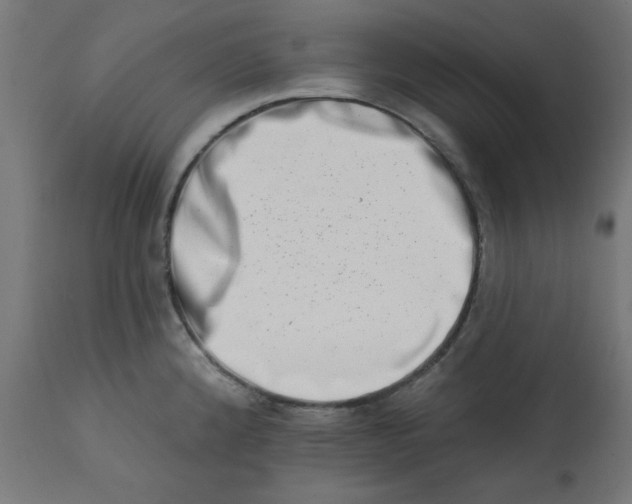 X0000113201192200910081244