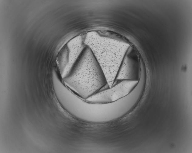 X0000113201193200910081244