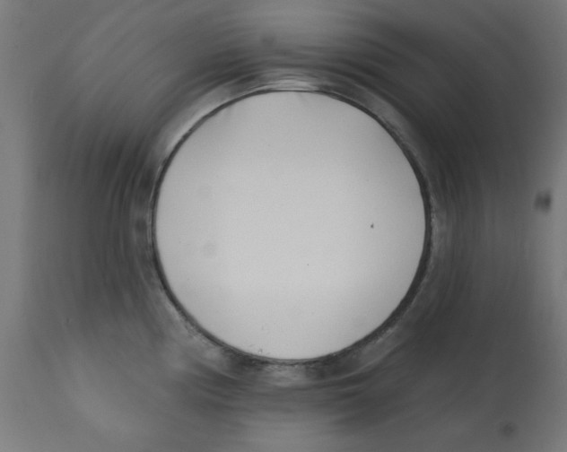 X0000113201194200910081244