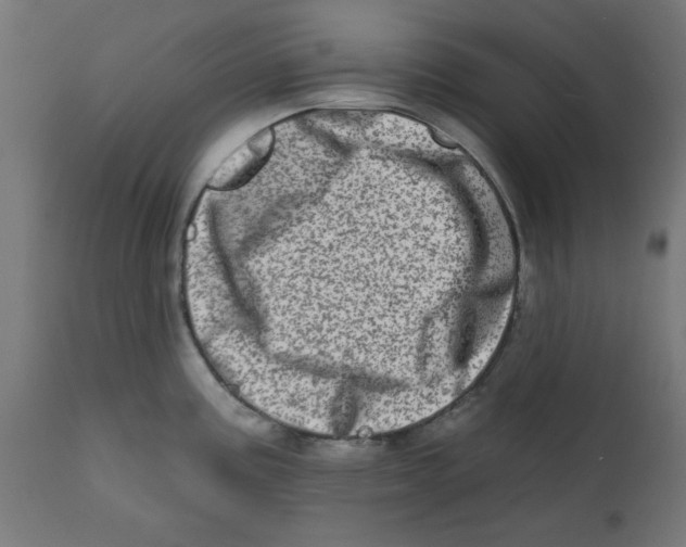 X0000113201195200910081244