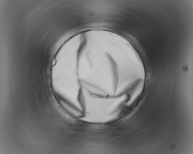 X0000113201196200910081244