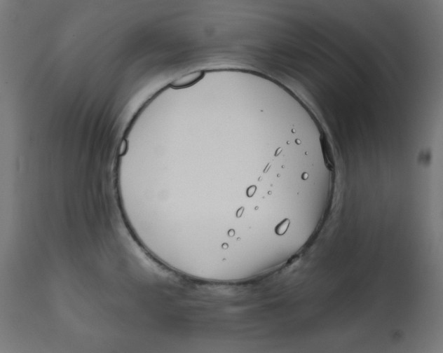 X0000113201197200910081244