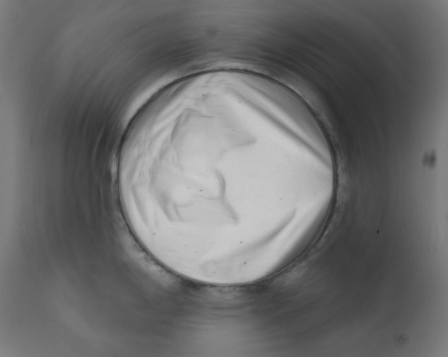 X0000113201198200910081244