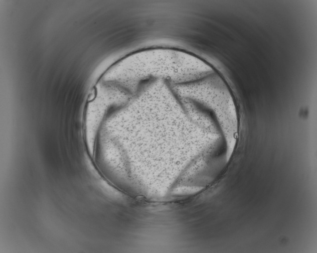 X0000113201199200910081244