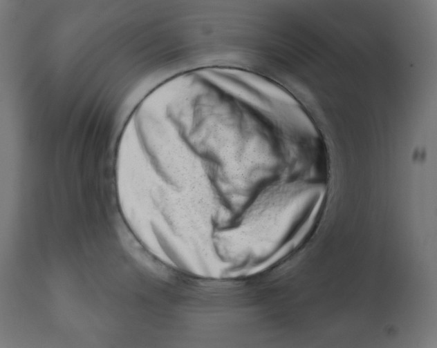 X0000113201200200910081244