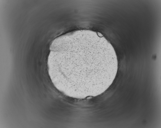 X0000113201201200910081243