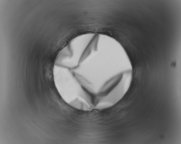 X0000113201202200910081243