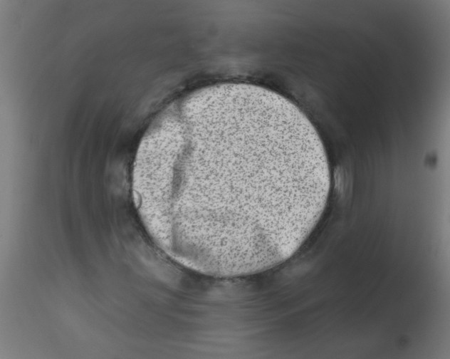 X0000113201203200910081243