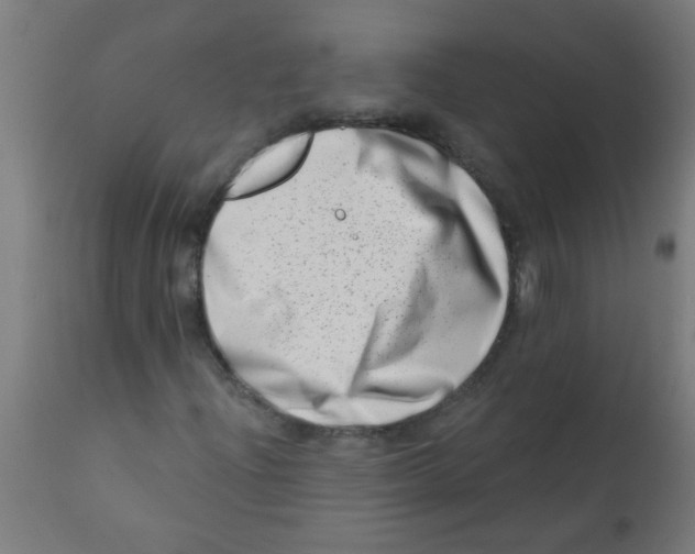 X0000113201204200910081243