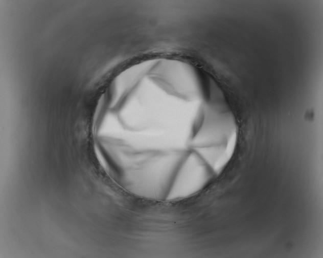 X0000113201206200910081243