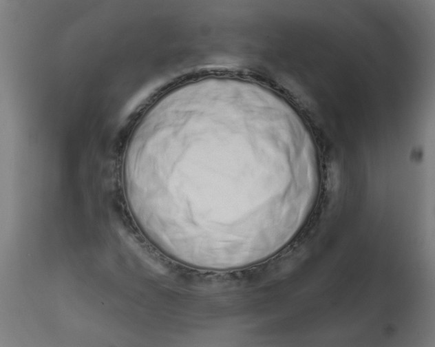 X0000113201208200910081243