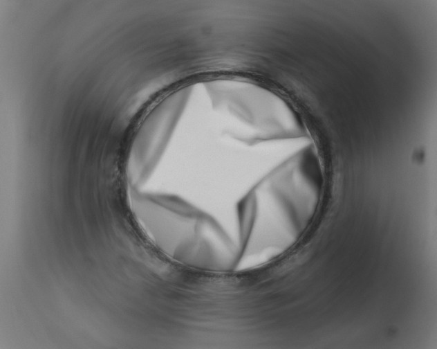 X0000113201210200910081243