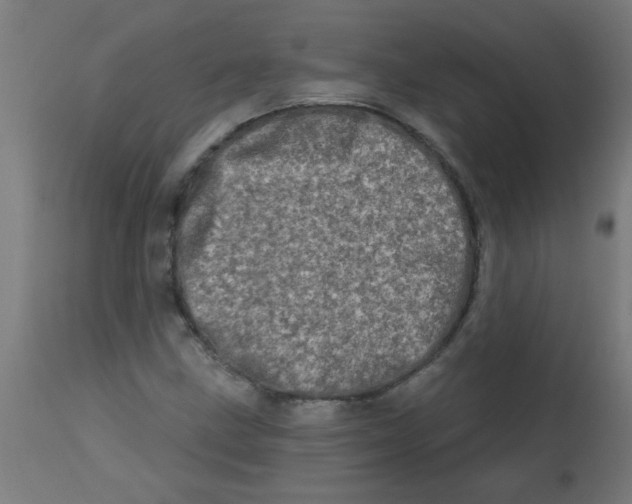 X0000113201211200910081243