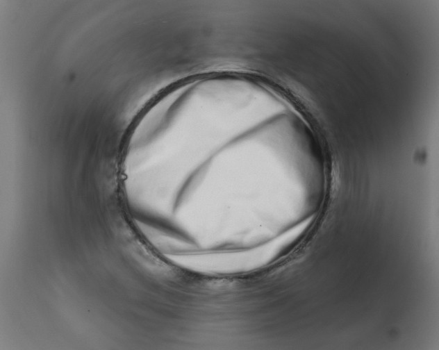 X0000113201212200910081243