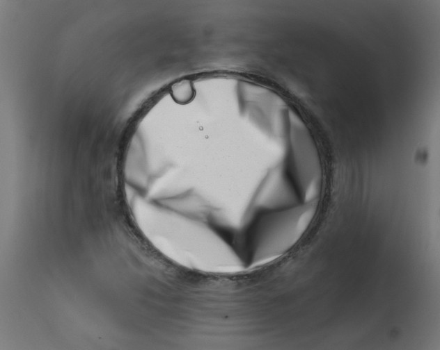 X0000113201214200910081243