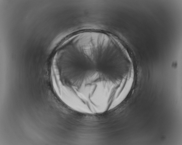 X0000113201215200910081243