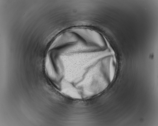 X0000113201217200910081243