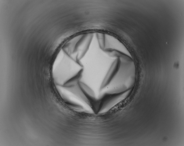 X0000113201218200910081243