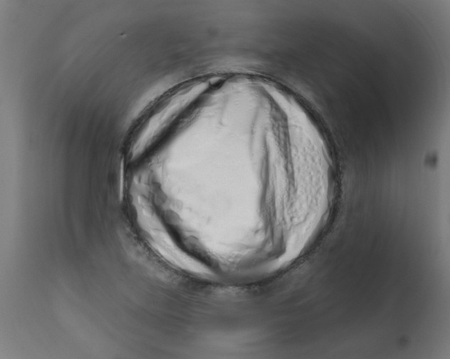 X0000113201219200910081243